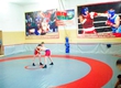 In Dubossarakh passed Open championship in national Moldavian wrestling 