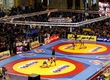 Golamrez Takhti's cup it is predictable won Iranian wrestlers