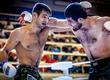 The strongest fighters of MMA prepare for superiority of Primorye