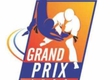 Uzbekistan will take part in tournament Gran Pri on judo