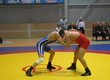 The international tournament on free-style wrestling