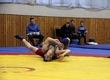 Superiority of Republic of Belarus among juniors on Greco-Roman wrestling