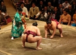 The champion of Japan among fans debuts in March in professional sumo