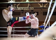 In Vladivostok the championship of edge on MMA came to the end