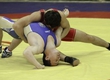 THE STRUCTURE OF THE NATIONAL TEAM OF TULA REGION  BY GRECO-ROMAN WRESTLING IS DETERMINED