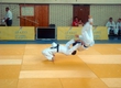 Competitions of superiority and the judo championship of the Omsk region came to the end