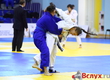 On championship of Ural federal district in judo residents of Tyumen won 20 medals