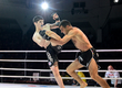 In Grozny came to the end the second championship of the Chechen Republic on MMA