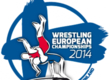 The final structure of the national team of Azerbaijan was defined on the wrestling championship of Europe in Finland