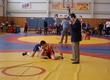 IN SETTLEMENT VURNARA TOOK PLACE THE VII OPEN TOURNAMENT ON FREE-STYLE WRESTLING