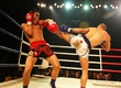 OPEN PROFESSIONAL FIGHTING ARENA 