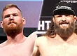 Рой Нельсон против Джоша Барнетта на UFC Fight Night 78 в Японии