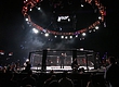 WSOF проведет однодневный претендентский турнир-восьмерку в легком весе