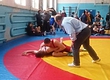 В Мариуполе подвели итоги чемпионата Донецкой области по греко-римской борьбе