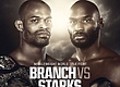 РЕЗУЛЬТАТЫ WSOF 30: BRANCH VS. STARKS