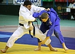 В Тюмени этим летом пройдёт турнир по дзюдо «Большой шлем»