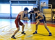 В Ярославле прошел всероссийский турнир по греко-римской борьбе