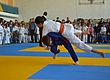 В Рубежном прошел чемпионат области по дзюдо