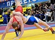 Чемпионат Украины по греко-римской борьбе