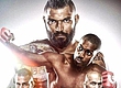 РЕЗУЛЬТАТЫ BELLATOR 163: MCGEARY VS. DAVIS