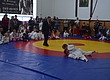 Более 500 маленьких спортсменов приняли участие в чемпионате Житомира по дзюдо и самбо