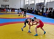 Представители комратской школы вольной борьбы стали призерами чемпионата Молдовы