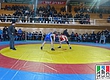 Турнир по вольной борьбе