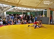 Состоялся кубок по вольной борьбе