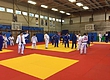 Две команды Армении по дзюдо проводят сбор в Венгрии