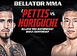 РЕЗУЛЬТАТЫ BELLATOR 272: PETTIS VS. HORIGUCHI